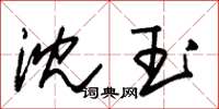 朱锡荣沈玉草书怎么写