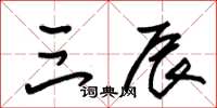 朱锡荣三辰草书怎么写