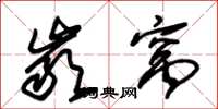 朱锡荣岩窝草书怎么写