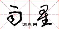 朱锡荣雨星草书怎么写