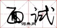 朱锡荣面试草书怎么写