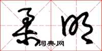朱锡荣柔明草书怎么写