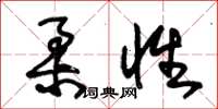 朱锡荣柔性草书怎么写