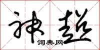 朱锡荣神超草书怎么写