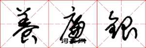 朱锡荣养廉银草书怎么写