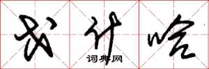 朱锡荣戈什哈草书怎么写