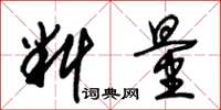 朱锡荣料量草书怎么写
