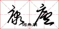 朱锡荣康庐草书怎么写