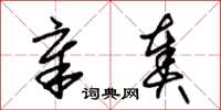 朱锡荣章奏草书怎么写