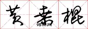 朱锡荣黄桑棍草书怎么写