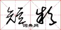 朱锡荣短款草书怎么写