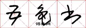 朱锡荣五色书草书怎么写
