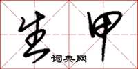朱锡荣生甲草书怎么写