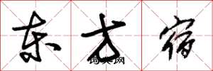 朱锡荣东方宿草书怎么写
