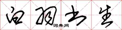 朱锡荣白羽书生草书怎么写