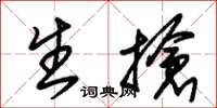 朱锡荣生抢草书怎么写