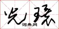 朱锡荣光环草书怎么写