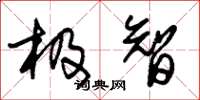 朱锡荣极智草书怎么写