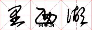 朱锡荣里西湖草书怎么写