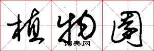 朱锡荣植物园草书怎么写