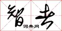 朱锡荣智者草书怎么写