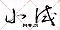 曾庆福小试草书怎么写