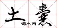 曾庆福土囊草书怎么写