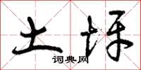 曾庆福土坪草书怎么写
