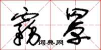 朱锡荣雾罩草书怎么写