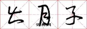 曾庆福出月子草书怎么写