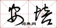 曾庆福安培草书怎么写