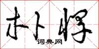 曾庆福朴悍草书怎么写