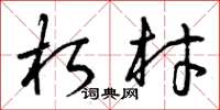 曾庆福朽材草书怎么写