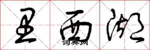 曾庆福里西湖草书怎么写