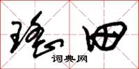 朱锡荣瑶田草书怎么写