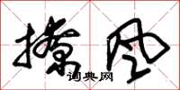 朱锡荣撩风草书怎么写