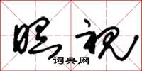 朱锡荣瞑视草书怎么写