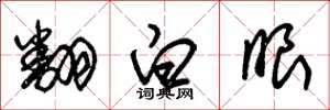 朱锡荣翻白眼草书怎么写