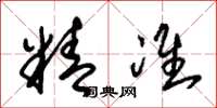 朱锡荣精准草书怎么写