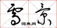 曾庆福雪景草书怎么写