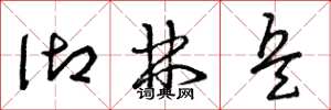 曾庆福御林兵草书怎么写