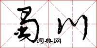 曾庆福蜀川草书怎么写