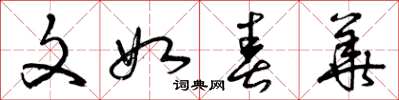曾庆福文如春华草书怎么写