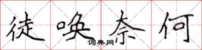 侯登峰徒唤奈何楷书怎么写