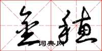 曾庆福金穗草书怎么写