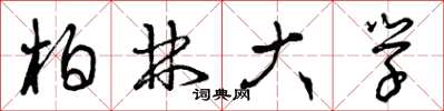 曾庆福柏林大学草书怎么写