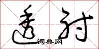 曾庆福透射草书怎么写