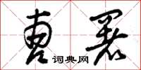 曾庆福曹署草书怎么写