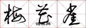 曾庆福梅花雀草书怎么写