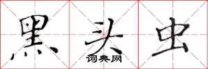 黄华生黑头虫楷书怎么写